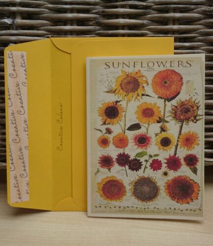 folded to A6 blank inside envs 5 pack print on linen card Sunflower notelets