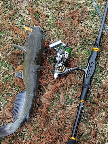 Sougayilang Fishing Rod and Reel Combos New Portable Telescopic Fishing Pole..