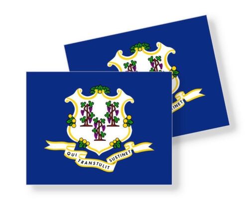 Choose Size Set of 2 Stickers Vinyl Decal CONNECTICUT STATE FLAG STICKERS