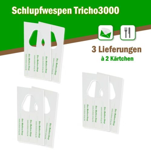 Schlupfwespen gegen Lebensmittelmotten 6000 Schlupfwespen auf 2 Karten