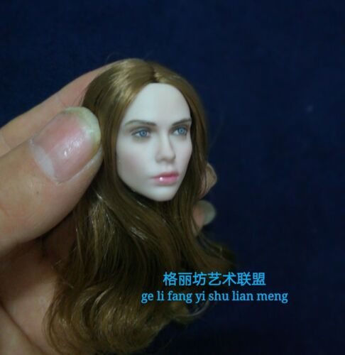 Details about  / 1:6 Scale Villa Coffee Hair Head Sculpt Model Fit 12/" Female Pale Figure Body