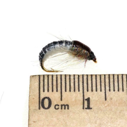 box Realistische Nymphe Scud Fly für Forellenangeln Insekte Künstliche F6G6 6x