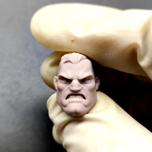 Hot 1/12 Scale Marvel Comics Frank Castle Head Sculpt Unpainted Fit 6" ML Figure 