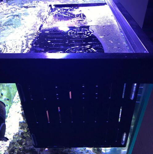 Clownfish Breeding Breeder Box Acrylic Acclimation Holding Net
