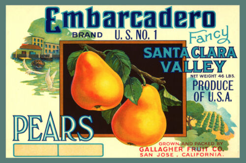 Vintage QUALITY Poster.Santa Clara Valley.Art Decor.Interior design.306 