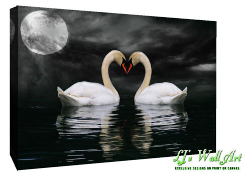 Cisnes En Moonlight-Animal tela pared arte Foto Impresión 
