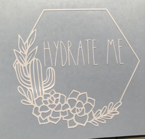 Succulents|Cactus|Stylish|Modern|Label Vinyl|Decal|You Pick Color Hydrate Me 