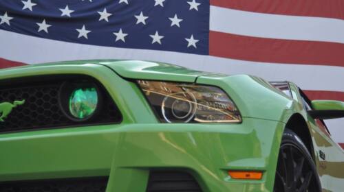 2013/2014 Mustang **GREEN** GT Fog light Vinyl Tint > perfectly cut to fit 