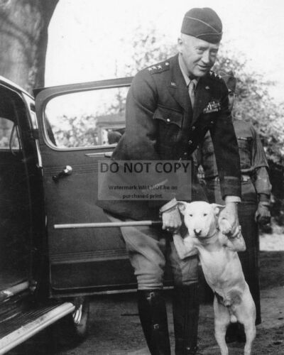 PATTON WITH BELOVED DOG /"WILLIE/" 8X10 PHOTO AB-105 GENERAL GEORGE S