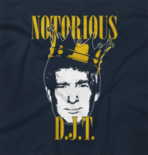 Notorious Donald Trump Funny Political USA Sarcastic Edgy Pullover Sweatshirt