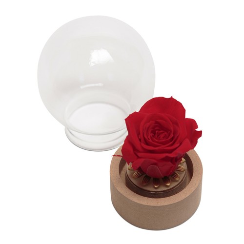 Garten & Terrasse Konservierte BabyRose im Glas Blume