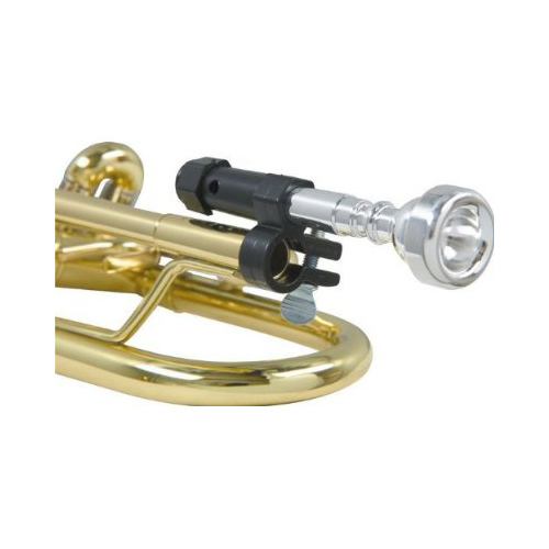 Berp BERP3 Trumpet #3