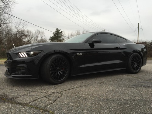 Tint Kit-Front/&Rear Complete-w//Mirror Mrkr Tint FR+HACT 2015//2016//2017 Mustang