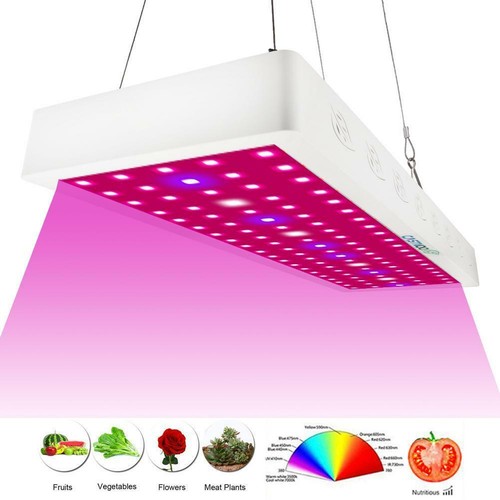 CASTNOO 2000W LED Grow Light Full Spectrum for Indoor Plants Veg and Flower GA