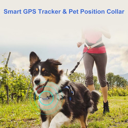 Smartphone GPS For Dog Cat Pet Finder Tracker GSM Locator Collar Tracking Alarm