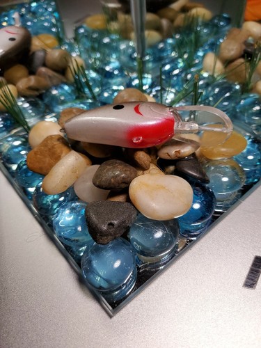 CUSTOM PAINTED LIL JOHN KO CRANKBAIT #101 Natural shad
