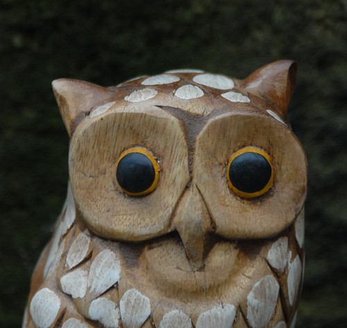 Wooden Owl Carving 23cm Sustainable Hard Wood hand painted detail