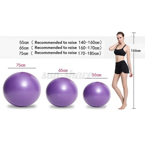 45//55//65//75cm Yoga Gym Fitness Ball Aerobic Abdominal Exercise Pilates Balance