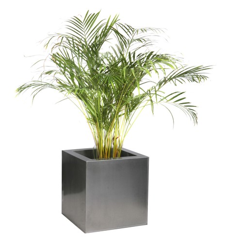 Cache Pot Cubique Zinc Acier Galvanisé Jardinière Bac à Fleurs Pot Terrasse Cube