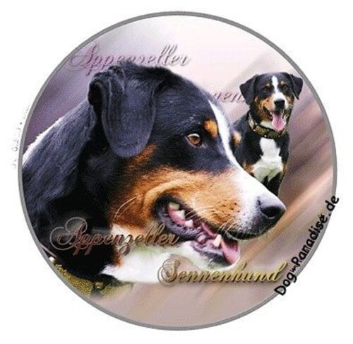 Pegatinas motivo 1 Appenzeller Sennenhund Bouvier de Appenzell pegatinas auto