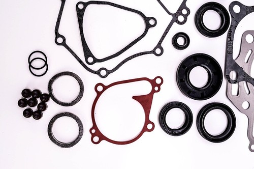 QuadBoss Complete Gasket Set with Oil Seals 811879