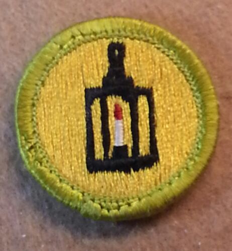 BSA METAL WORK Merit Badge Type H 1972-2002 PLASTIC BACK B00083