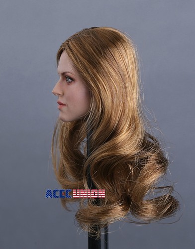 1//6 Female Head Sculpt C BROWN Hair For 12/" TBLeague PHICEN Hot Toys Figure USA