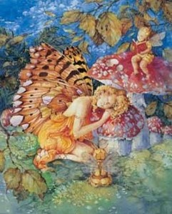 matted butterfly fairy foil fantasy 8x10 affordable print matted butterfly fairy foil fantasy 8x10 affordable print