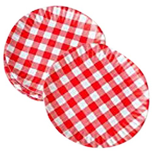 9 Set /"What Is It/" Reusable Red /& White Gingham Checkered Picnic Dinner Plate
