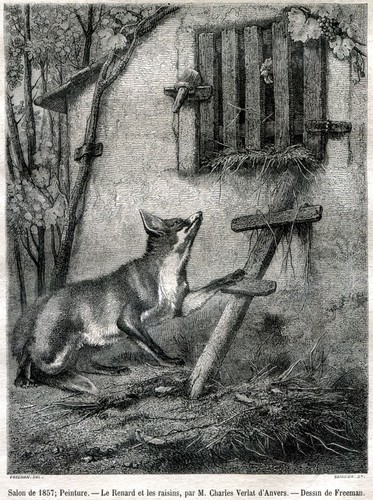 La volpe e l/'uva Passepartout.1857 Capolavoro Favole di Esopo Stampa Antica