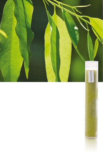 Aroma Sense Aroma Gelfilter EUKALYPTUS für Duschbrausen MAX und SPA
