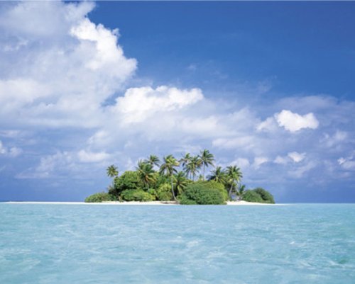 TREASURE ISLAND TROPICAL BEACH POSTER 16x20 OCEAN 6912