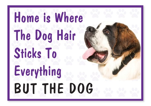 Funny St Bernard Vinyl Car Van Decal Sticker Pets Home is Where The Dog Hair