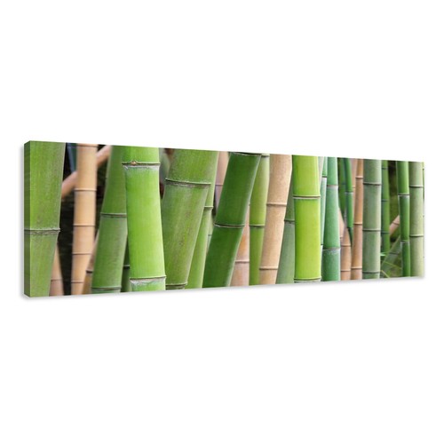 ingelijst 120x40 cm NL 1578 Foto/'s op canvas