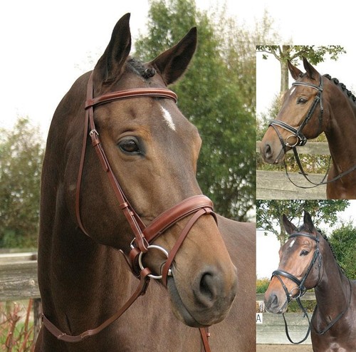 Luxe Trense schwedisches Reithalfter Harry`s Horse Reittrense