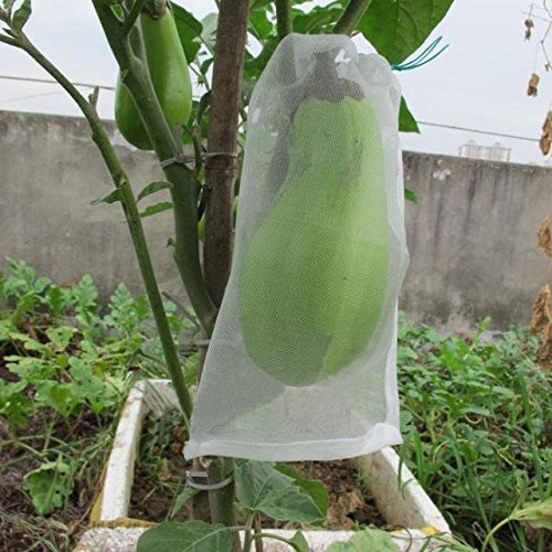 Mosquito netting,Insect Barrier Bag 10PCS 24/"x16/"Plant//Fruit Protect Bag