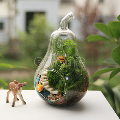 Home Decor Pear Crystal Glass Vase Planter Hydroponic Pot Terrarium Container