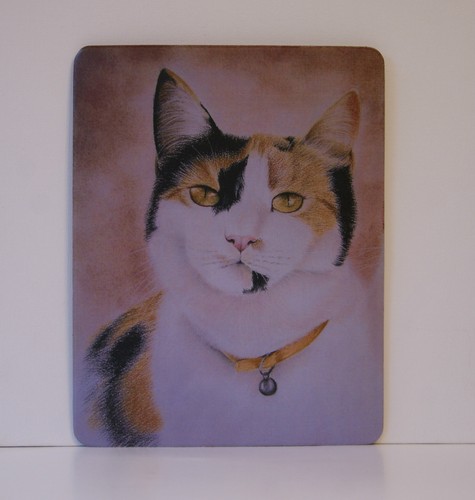 Tortoishell Cat Mousemat by UK artist 5 Images To Choose From