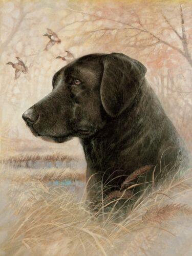 LABRADOR RETRIEVER LOVELY DOG GREETINGS NOTE CARD LOVELY BLACK DOG HEAD STUDY