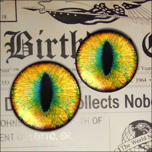 30mm Alien Eyeballs Sci-fi Fantasy Slit Pupil Taxidermy Glass Doll Eyes 1.2 Inch