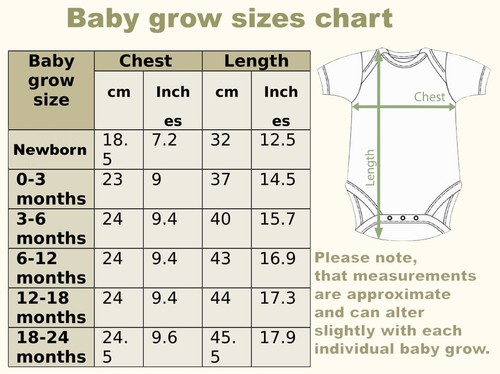 Tengo el mejor doble bebé crezca hermana Set para niñas gemelas monos babygrows