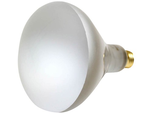 Bulbrite 65W 120V BR40 Frosted Reflector Flood E26 Base E26 Base