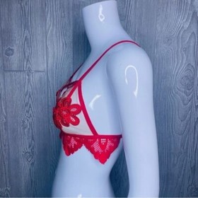 For love and lemons skivvies red lace appliqué sheer strapy bralette lingerie to