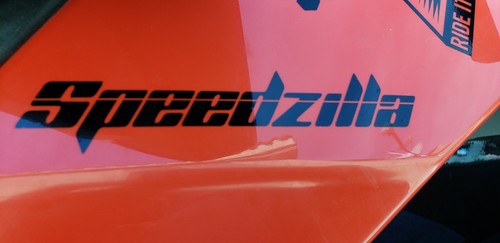 2 PIECES Sea doo rxp x rxt gti wake /"speedzilla/" Decal//Sticker