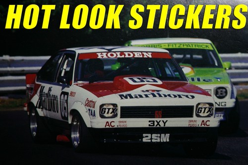 Bathurst Winner Torana Biante 1:18 Peter Brock MISSING Vinyl Decals 1978 ATCC