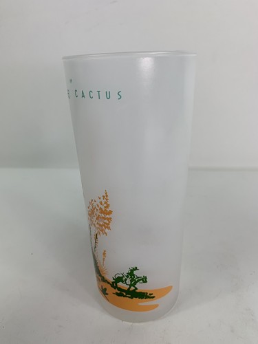 Blakey Oil /& Gas ARIZONA CACTUS /"YUCCA/" FROSTED Tumbler GLASS GLOSSY Finish Tea