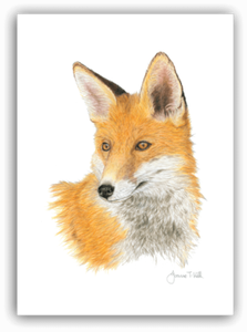 /'RED FOX/' WILDLIFE GREETINGS CARD Print From Original Drawing By Joanne T Kell