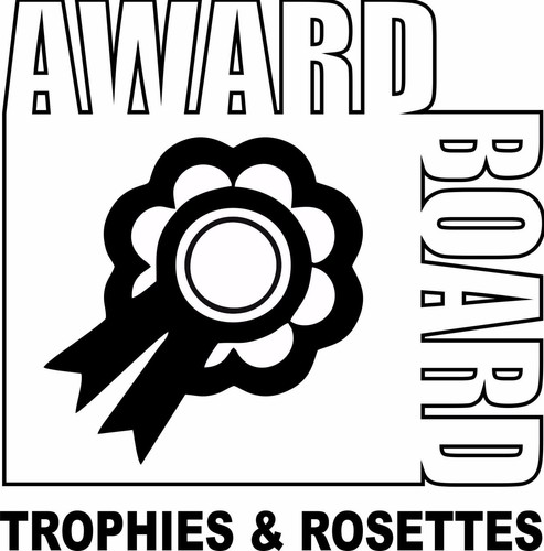Shiny silver whappy trophée Prix Star sur base en marbre gravure libre récompense scolaire