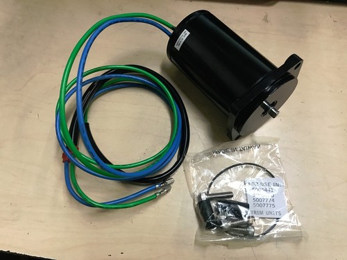 All Models New Tilt Trim Motor Fits Evinrude 70-90 HP 2005 2006 2007 2008 2009