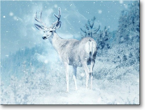 Ready to Hang Deer Buck Picture on Stretched Canvas Wall Art Décor